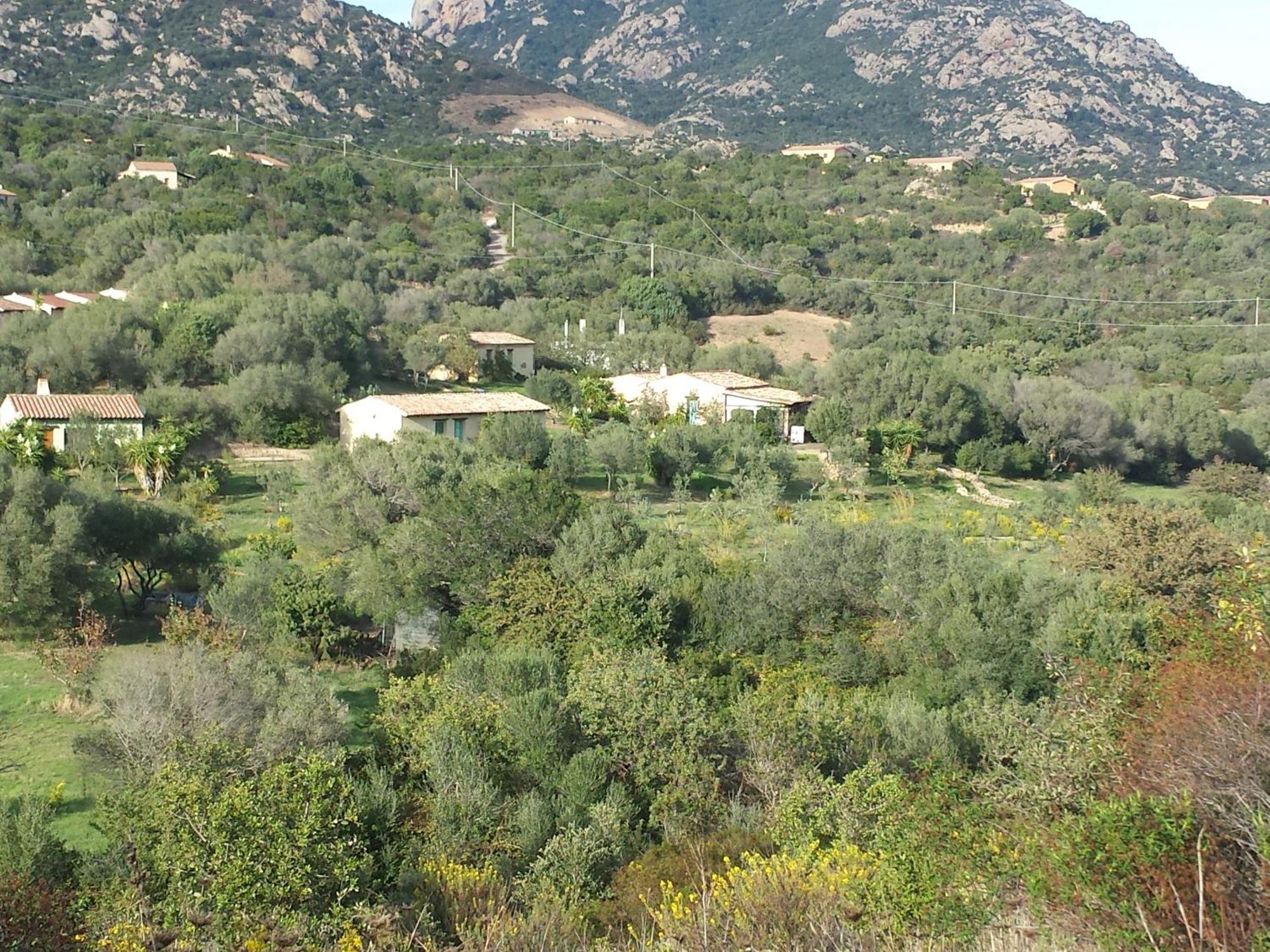 Agriturismo Agrisole Olbia Exterior foto