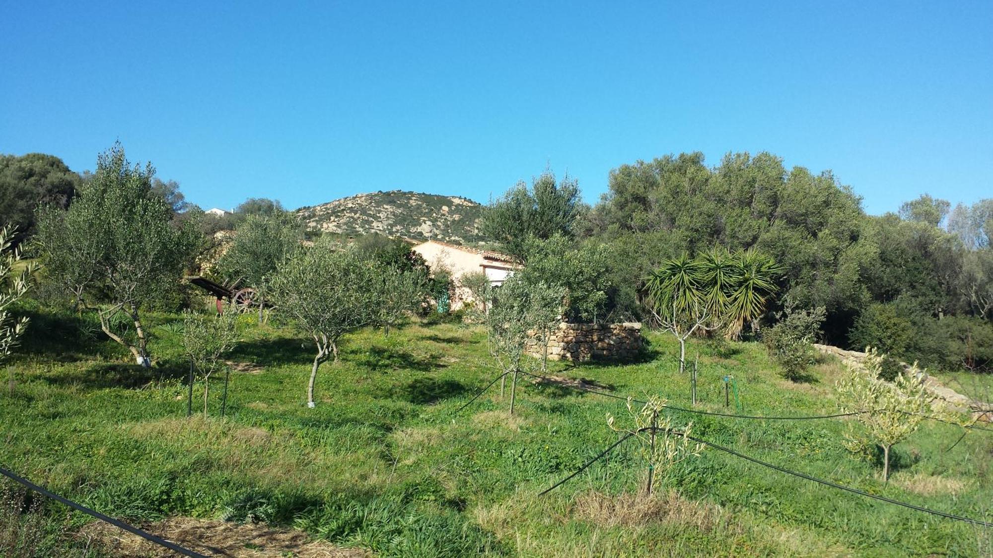 Agriturismo Agrisole Olbia Exterior foto